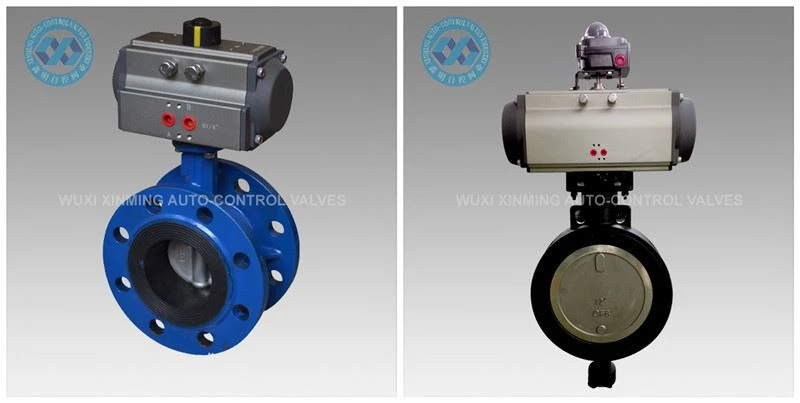 Pneumatic Butterfly Valve