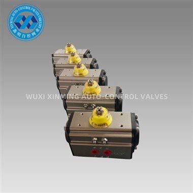 Angle Travel Pneumatic Actuator