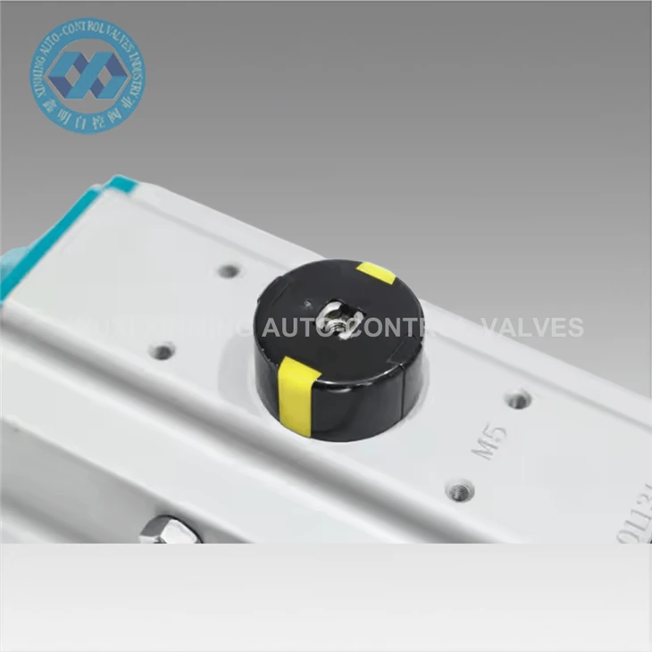 Free Samples Pneumatic Actuators