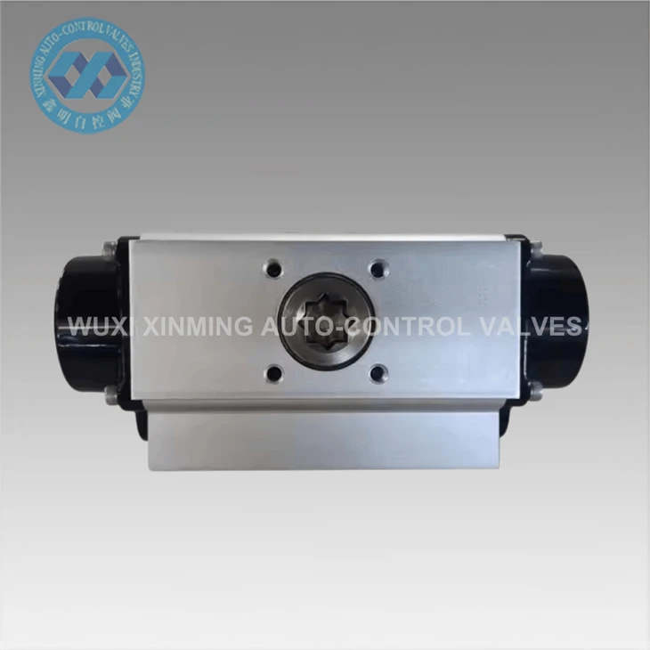 Harsh Conditions Demand Our Reliability Pneumatic Actuators