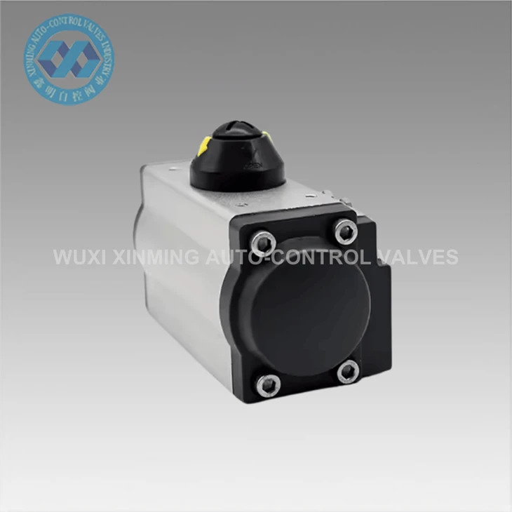 Limited-Time Offer Pneumatic Actuators
