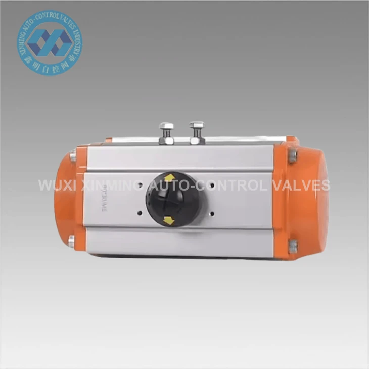 Pneumatic Air Actuator