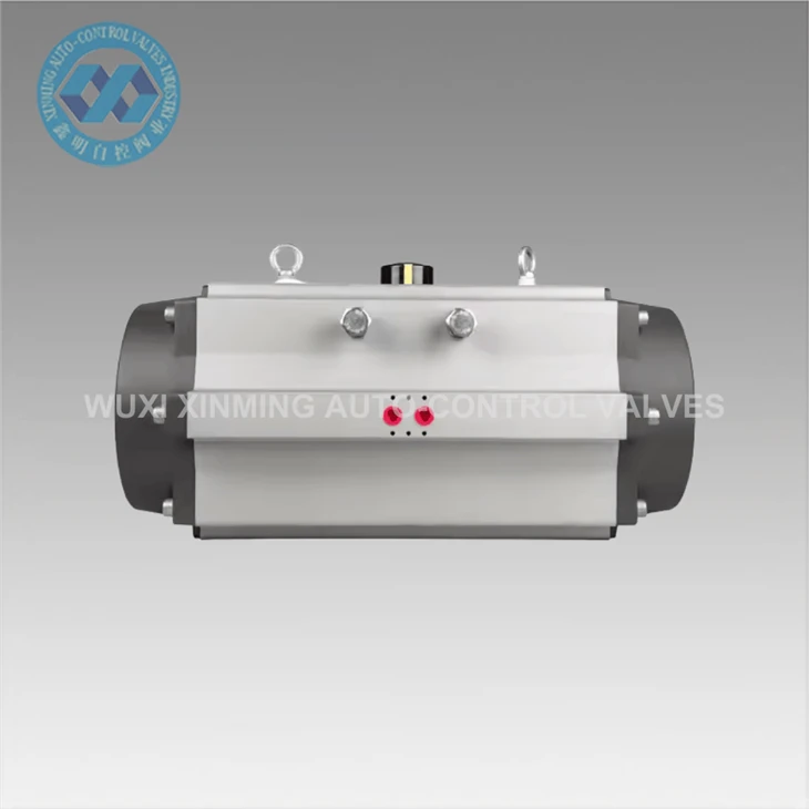 Pneumatic Valve Actuators For Water Treatment Plants