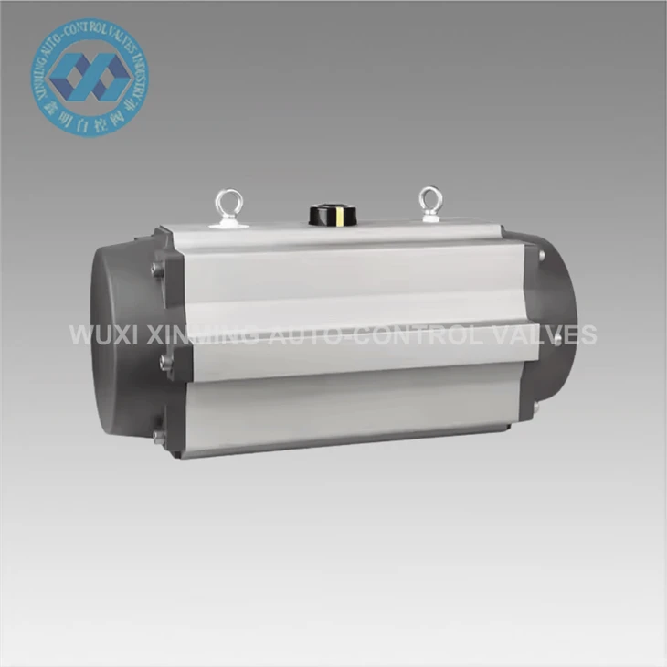 Pneumatic Valve Actuators For Water Treatment Plants