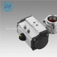 90 Degree Rotary Double Acting Pneumatic Valve Actuator Single Acting Pneumatic Actuator