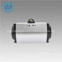 Black Silver Pneumatic Atuator