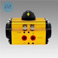Carbon Steel Stainless Steel High Quality Pneumatic Actuator