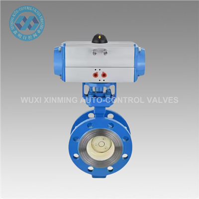 What is the maintenance interval for WCB Butterfly Valve?