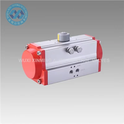 Pneumatic Actuators